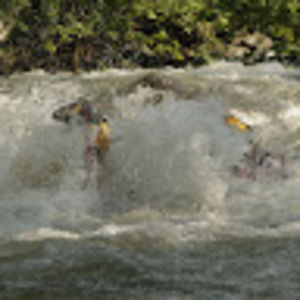 Meet your Posher, Daniel